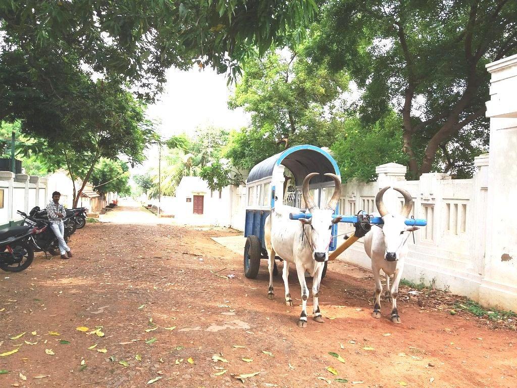 Chettinadu Mansion - An Authentic Heritage Palace Kānādukāttān 外观 照片